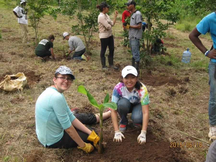 Sophomore Emma Tran gardens at the Environmental School in the Dominican Republic.