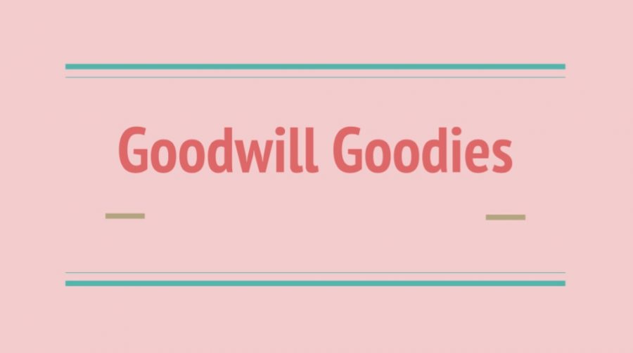 Goodwill Goodies