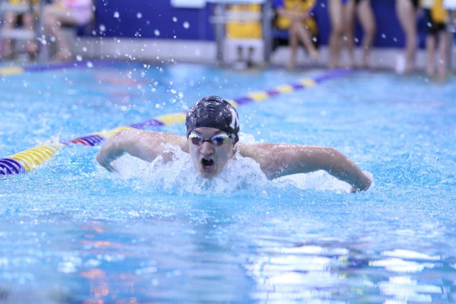 Swim and Dive Advance to Regionals